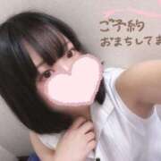 ヒメ日記 2025/10/26 06:32 投稿 ひまわり ドンファン