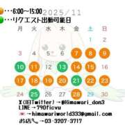 ヒメ日記 2025/10/28 10:15 投稿 ひまわり ドンファン