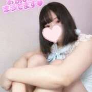 ヒメ日記 2025/10/29 06:33 投稿 ひまわり ドンファン