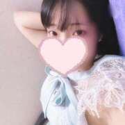 ヒメ日記 2025/10/29 13:14 投稿 ひまわり ドンファン