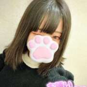 ヒメ日記 2025/11/17 07:21 投稿 ひまわり ドンファン