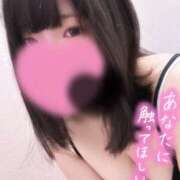 ヒメ日記 2025/11/18 12:00 投稿 ひまわり ドンファン