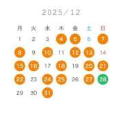 ヒメ日記 2025/12/05 22:01 投稿 ひまわり ドンファン