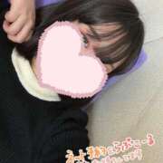 ヒメ日記 2025/12/10 06:33 投稿 ひまわり ドンファン