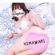 ヒメ日記 2025/12/12 20:01 投稿 ひまわり ドンファン