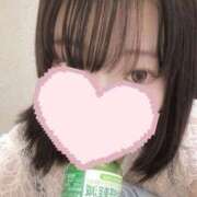 ヒメ日記 2025/12/13 06:20 投稿 ひまわり ドンファン