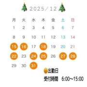 ヒメ日記 2025/12/15 22:00 投稿 ひまわり ドンファン