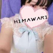 ヒメ日記 2025/12/24 06:34 投稿 ひまわり ドンファン