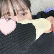 ヒメ日記 2026/02/09 06:48 投稿 ひまわり ドンファン