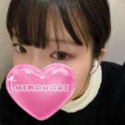 ひまわり 待ってます🐶 ドンファン