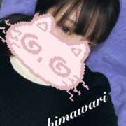 ヒメ日記 2026/03/08 06:31 投稿 ひまわり ドンファン