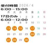 ヒメ日記 2026/04/09 21:02 投稿 ひまわり ドンファン