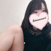 ヒメ日記 2026/04/14 07:01 投稿 ひまわり ドンファン