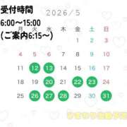 ヒメ日記 2026/05/10 23:38 投稿 ひまわり ドンファン