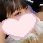 ヒメ日記 2026/05/28 06:47 投稿 ひまわり ドンファン