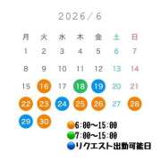 ヒメ日記 2026/06/14 19:28 投稿 ひまわり ドンファン