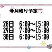 ヒメ日記 2026/06/27 22:34 投稿 ひまわり ドンファン