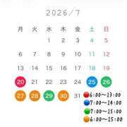 ヒメ日記 2026/07/16 14:55 投稿 ひまわり ドンファン