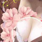 ヒメ日記 2025/04/25 18:00 投稿 若槻るか キュア＆マジック