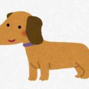 ヒメ日記 2025/08/31 02:26 投稿 志保 熟女の風俗最終章 新横浜店