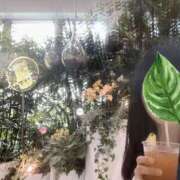 ヒメ日記 2025/05/13 09:51 投稿 ちづる 阪神人妻花壇