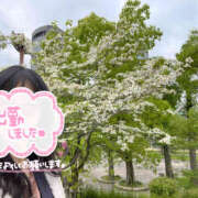 ヒメ日記 2025/04/24 11:05 投稿 ちづる 大阪人妻援護会