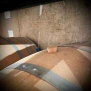 ヒメ日記 2024/12/13 18:02 投稿 浅見怜 五十路マダム 新潟店(カサブランカグループ)