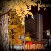 ヒメ日記 2024/12/15 19:02 投稿 浅見怜 五十路マダム 新潟店(カサブランカグループ)