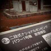 ヒメ日記 2024/12/17 07:02 投稿 浅見怜 五十路マダム 新潟店(カサブランカグループ)