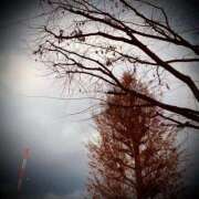 ヒメ日記 2024/12/21 01:44 投稿 浅見怜 五十路マダム 新潟店(カサブランカグループ)