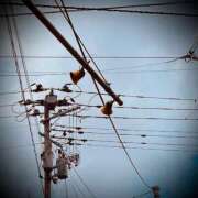 ヒメ日記 2024/12/24 11:28 投稿 浅見怜 五十路マダム 新潟店(カサブランカグループ)