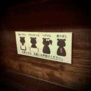 ヒメ日記 2024/12/26 08:04 投稿 浅見怜 五十路マダム 新潟店(カサブランカグループ)