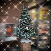 ヒメ日記 2024/12/26 09:08 投稿 浅見怜 五十路マダム 新潟店(カサブランカグループ)