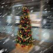 ヒメ日記 2024/12/27 23:10 投稿 浅見怜 五十路マダム 新潟店(カサブランカグループ)