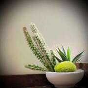 ヒメ日記 2024/12/28 18:04 投稿 浅見怜 五十路マダム 新潟店(カサブランカグループ)