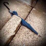 ヒメ日記 2024/12/29 12:12 投稿 浅見怜 五十路マダム 新潟店(カサブランカグループ)