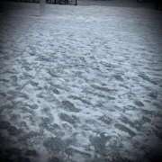 ヒメ日記 2024/12/29 15:04 投稿 浅見怜 五十路マダム 新潟店(カサブランカグループ)