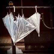 ヒメ日記 2025/01/05 11:50 投稿 浅見怜 五十路マダム 新潟店(カサブランカグループ)