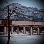 ヒメ日記 2025/01/06 23:36 投稿 浅見怜 五十路マダム 新潟店(カサブランカグループ)