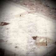 ヒメ日記 2025/01/08 22:22 投稿 浅見怜 五十路マダム 新潟店(カサブランカグループ)