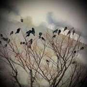 ヒメ日記 2025/01/08 23:32 投稿 浅見怜 五十路マダム 新潟店(カサブランカグループ)