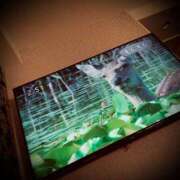 ヒメ日記 2025/01/22 03:02 投稿 浅見怜 五十路マダム 新潟店(カサブランカグループ)