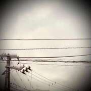 ヒメ日記 2025/01/22 17:06 投稿 浅見怜 五十路マダム 新潟店(カサブランカグループ)