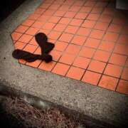 ヒメ日記 2025/01/23 16:04 投稿 浅見怜 五十路マダム 新潟店(カサブランカグループ)