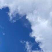 ヒメ日記 2025/01/25 15:06 投稿 浅見怜 五十路マダム 新潟店(カサブランカグループ)