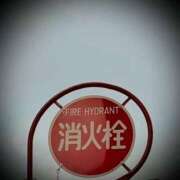 ヒメ日記 2025/01/26 15:06 投稿 浅見怜 五十路マダム 新潟店(カサブランカグループ)