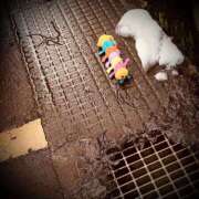 ヒメ日記 2025/02/03 00:30 投稿 浅見怜 五十路マダム 新潟店(カサブランカグループ)