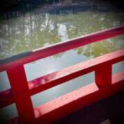 ヒメ日記 2025/02/03 05:00 投稿 浅見怜 五十路マダム 新潟店(カサブランカグループ)