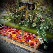 ヒメ日記 2025/02/03 06:20 投稿 浅見怜 五十路マダム 新潟店(カサブランカグループ)