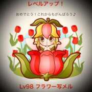 ヒメ日記 2025/02/04 12:06 投稿 浅見怜 五十路マダム 新潟店(カサブランカグループ)